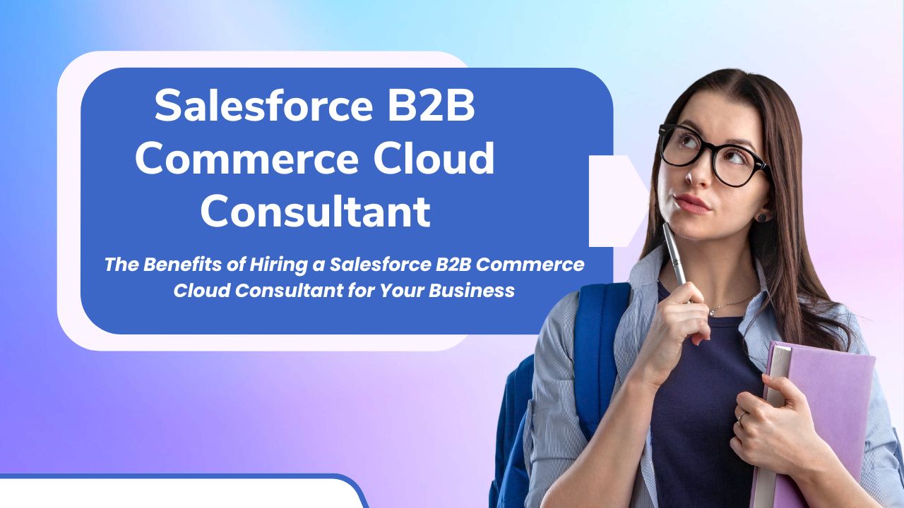 salesforce b2b commerce cloud consultant